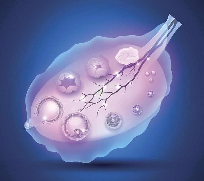 没有卵泡能去天元妇产医院能做试管婴儿吗？多少钱